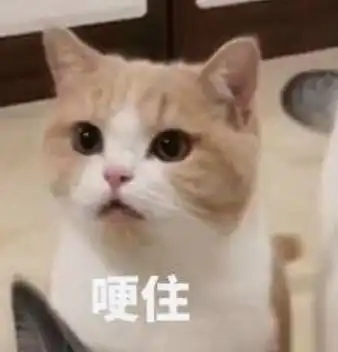  e句话看天下隐秘的角落父子同框,荣梓杉已经比张颂文还高了