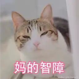  朋友圈票圈表情包不定期更新瓜皮猫堆糖,美好生活研究所