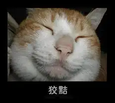  动物做人类表情喔哈哈