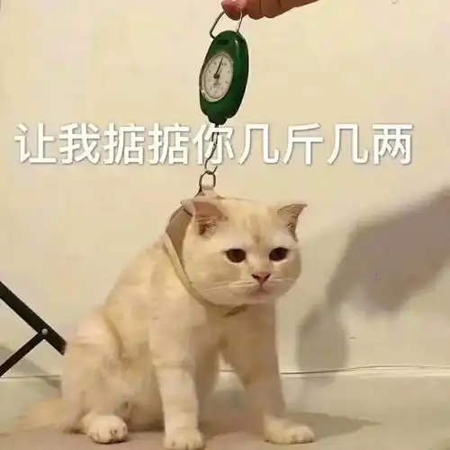  表情包你干嘛想打架
