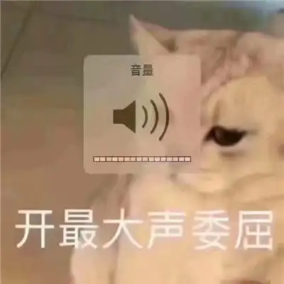  主动求和的道歉表情包