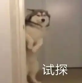  对不起,年纪小就是可以为所欲为