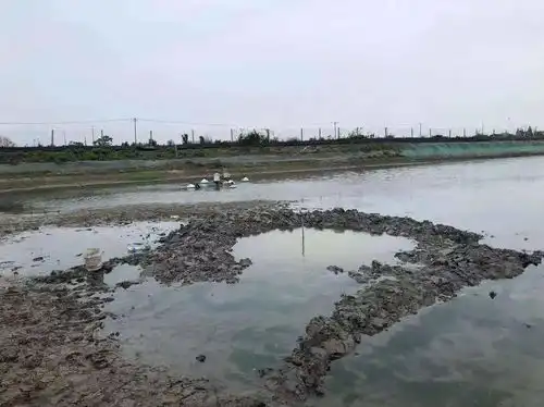  不明物坠落浙江嘉善鱼塘,调查结果来了,是遇水即化了吗