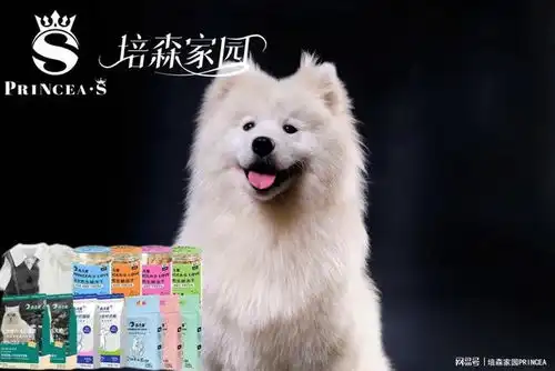  多留意狗狗小表情,其实它在努力和你沟通哦