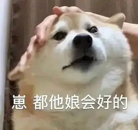  弯兔司令的相册i动物表情包
