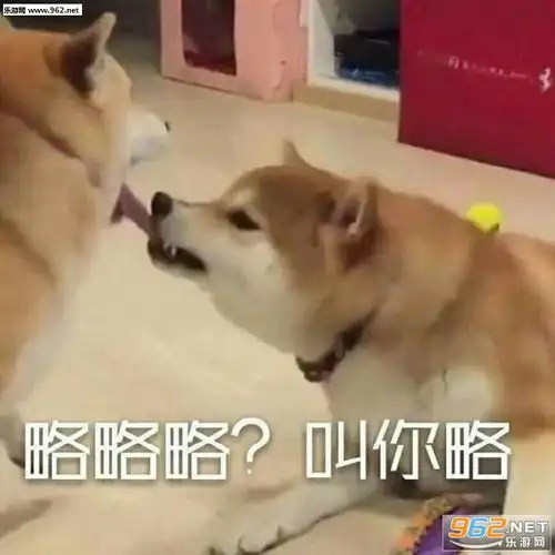 小傻瓜表情包略略略