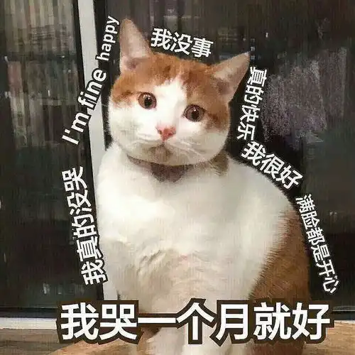 闪现一下表情包新物种