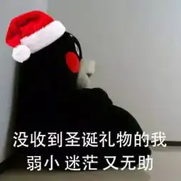  表情包有人给我买圣诞礼物吗