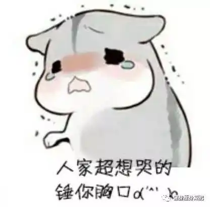 实力撩妹套路表情包游欧