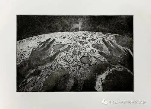  铜版画作品展示