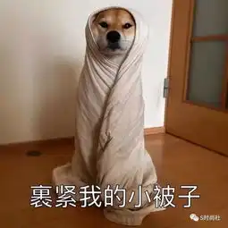  斗图,是美好生活的开始所以,表情包来一发