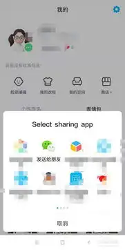  zetepo怎么制作表情包表情包怎么发送