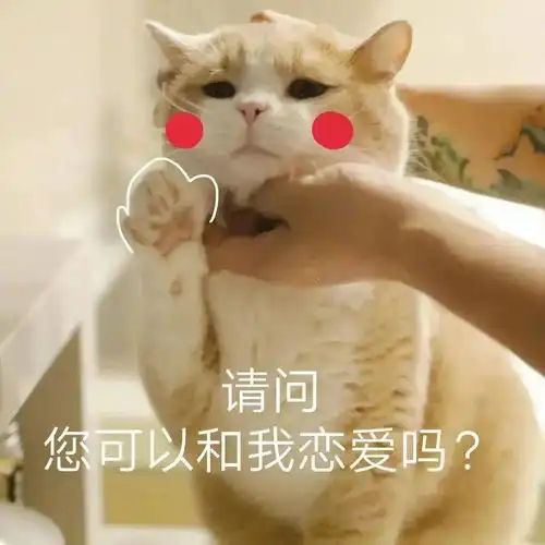  长得可爱就是麻烦丨第125期喵表情