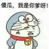 你个傻瓜表情包