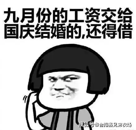 有人国庆放假要赶超5场婚宴假期已经被饭局安排得妥妥的