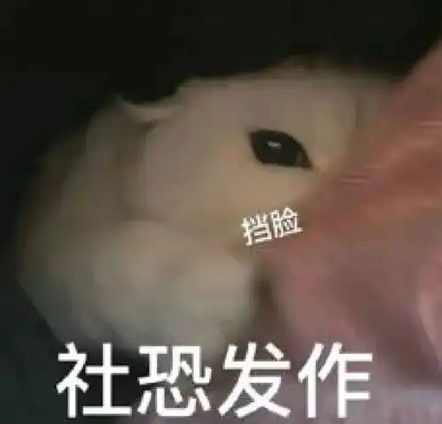  社牛猫咪也有自己的观光车