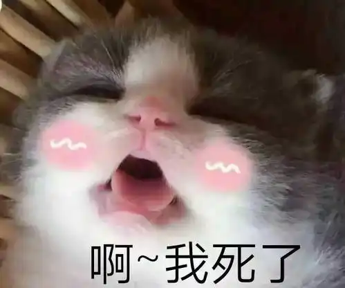乖表情包你别怕