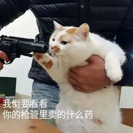  斗牛犬一天没拉屎还继续喂食吗