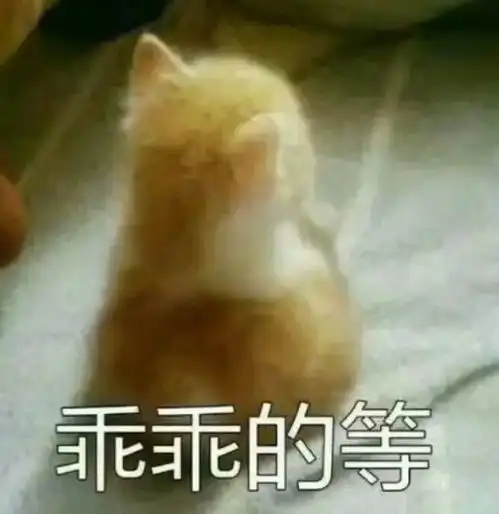 乖表情包屁屁