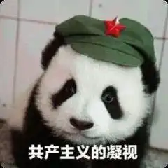 小红书表情包图片熊猫