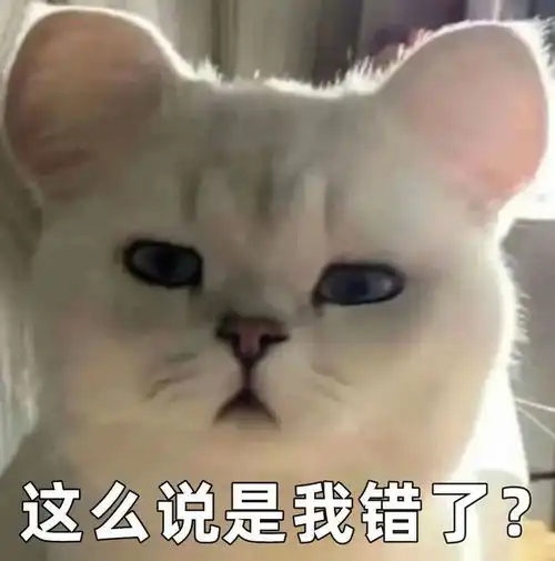  最近很火的小狗穿裙子,小猫头上带花表情包