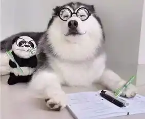  自己家犯二的是二哈,别人家的才是哈士奇