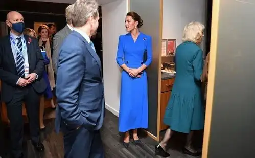  英国王室f4出席峰会凯特穿蓝裙表情贼凶,74岁卡米拉裹黑色丝袜