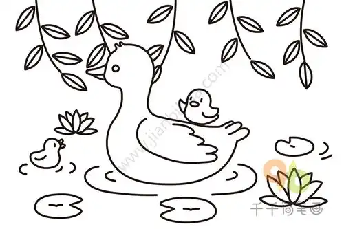  游来游去的鸭子简笔画图片