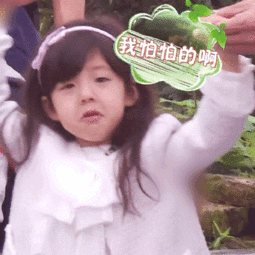  小泡芙穿可爱公主裙化身表情包超软萌