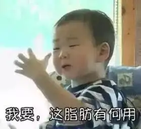 窃瓦拉格表情包胖胖