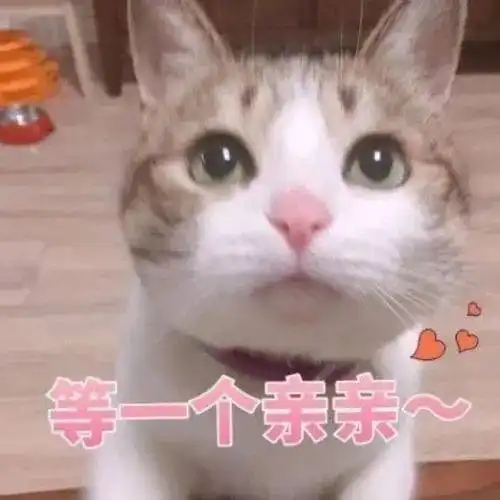 很狠了哦表情包亲亲