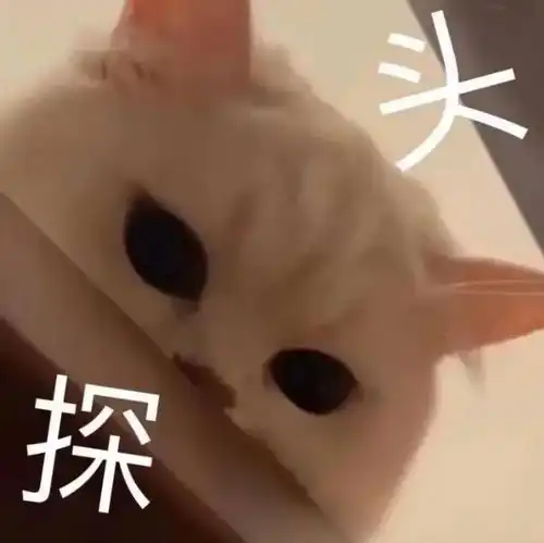表示惊慌的表情包沙雕