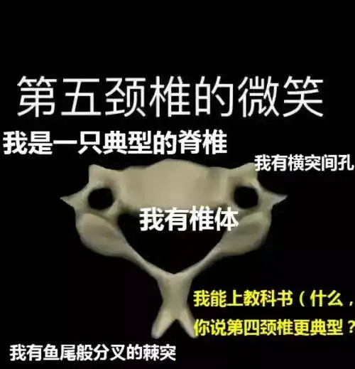  杭州骨科老专家没想到,自己76岁时,竟然在抖音火了还被夸可爱