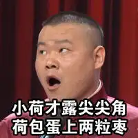  小岳岳恶搞表情包女生胸太小专版岳云鹏教你委婉地形容别人胸小
