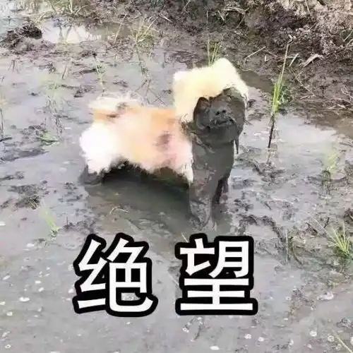  在线懵逼回避女朋友总是强调以后我会遇到更好的...