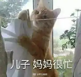 可爱猫咪表情包斗图专用