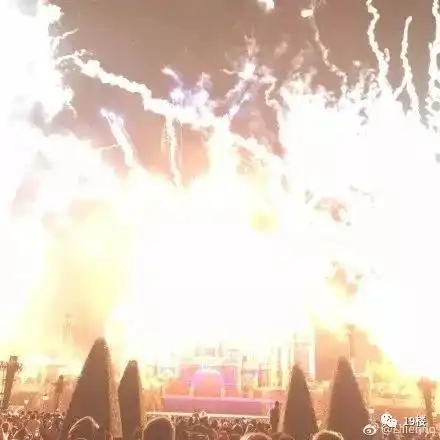  上海迪士尼着火了网友晒出烟花照,哈哈哈哈大型买家秀现场