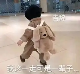  罗熙撒娇表情包你不要不理人家,人家辣么乖