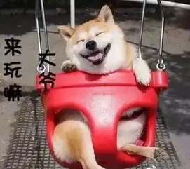  免费玩自游港水上乐园升级啦...