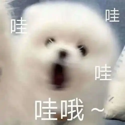  让人睡了就不想起来的梦中情枕,到底好在哪儿