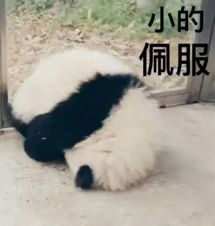 我的宿舍群才没有这样的名字