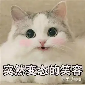 抢购信息表情包凶猛
