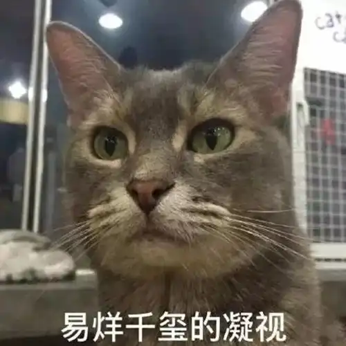 明当明曰特别版不会写剧本的网红不是一个好戏精