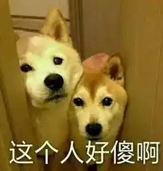  今年七夕,石家庄这个地方要发生一件大事,有对象的都去了
