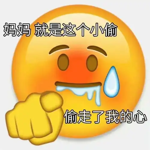  美女嫁给我表情包