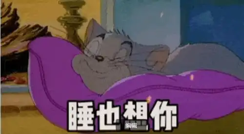  谁也想你不睡也想你表情包丨这是你要的猫和老鼠表情包吗