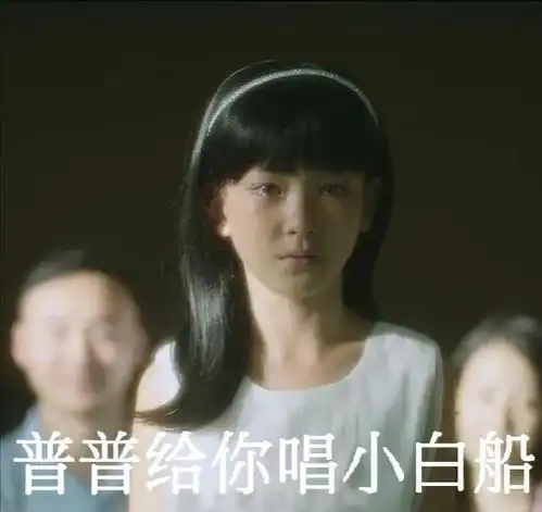 隐秘的角落表情包视频小