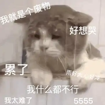  有趣