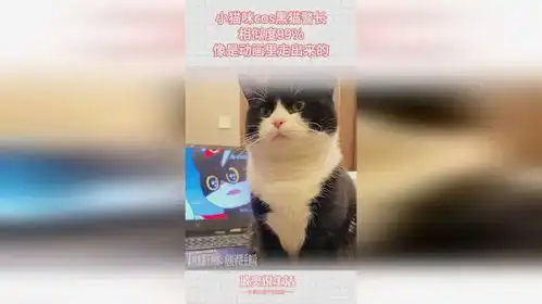  小猫咪cos黑猫警长,相似度99,像是动画里走出来的
