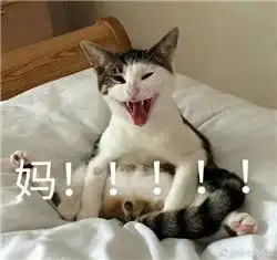  动物撕心裂肺叫妈的表情包喊妈表情包系列合集相关视频闽南网